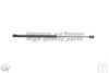 HYUNDAI 817802F210 Gas Spring, boot-/cargo area